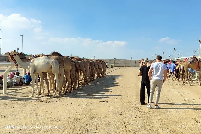 Doha, Qatar: Came Racing Track, Oryx & Sheikh Faisal Museum Tour. - Education City and Ahmad Bin Ali Stadium on the route