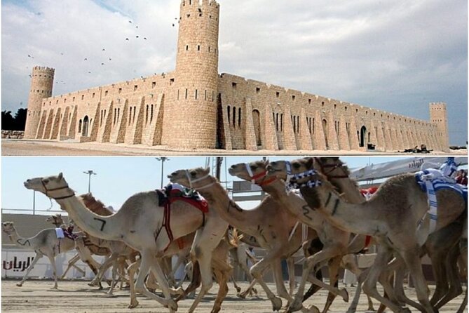 Doha, Qatar: Came Racing Track, Oryx & Sheikh Faisal Museum Tour. - Timing, cancellation, and who should book