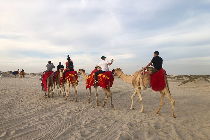 Doha, Qatar: Doha Desert Safari & City - Full Day Private Tour. - Starting beside Doha Bay at the Corniche
