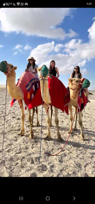 Doha Qatar : sealine adventure Camel Ride sandboard Sunset - What the $35 price really covers