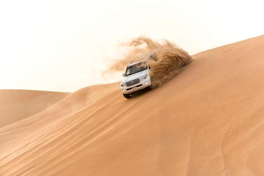 Doha Qatar : sealine adventure Camel Ride sandboard Sunset - The camel stop, tea, and optional falcon photos