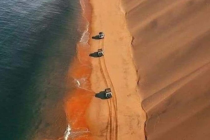 Doha Quad Bike, Dune Bashing, Camel Ride and Inland Sea Tour - Sandboarding and the second Sealine stop