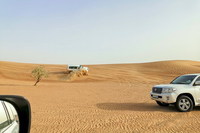Doha Quad Bike, Dune Bashing, Camel Ride and Island Sea Tour - Camels, falcons, and what is actually included