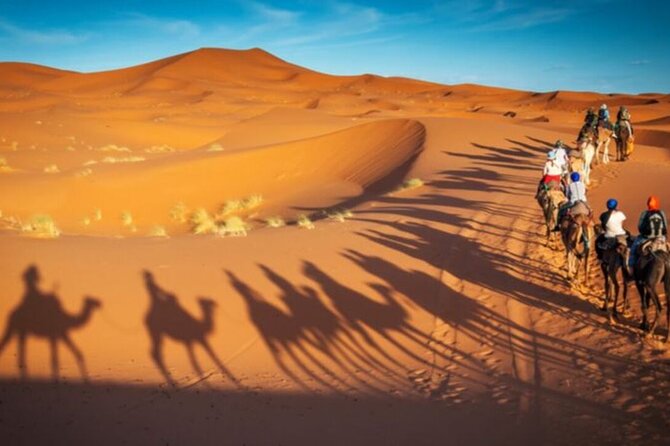 Doha Quad Bike, Dune Bashing, Camel Ride and Island Sea Tour - Is $100 a fair price?