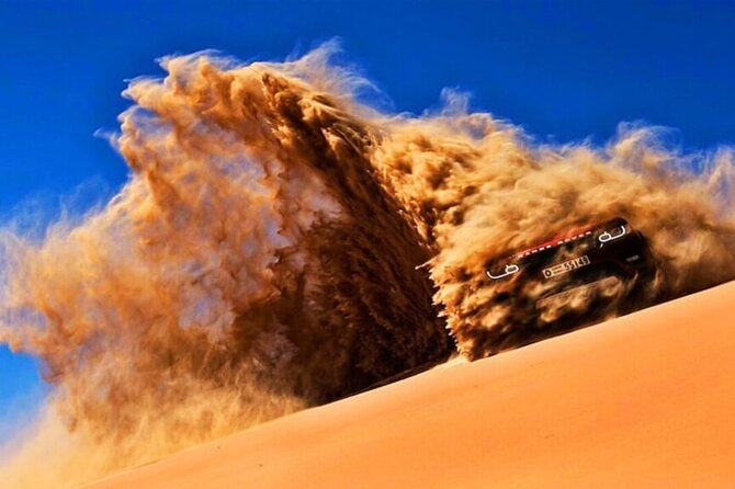 Doha Quad Bike, Dune Bashing, Camel Ride and Island Sea Tour - Who will enjoy this desert day?