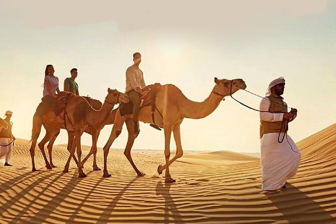 Doha Quad Bike, Dune Bashing, Camel Ride and Island Sea Tour - Dune bashing in a professional 4WD
