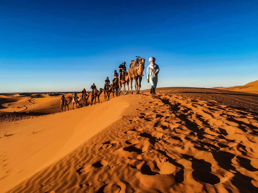 Doha: Quad Bike, Dune Bashing, Camel Ride & Inland Sea Tour - The Inland Sea near Saudi Arabia