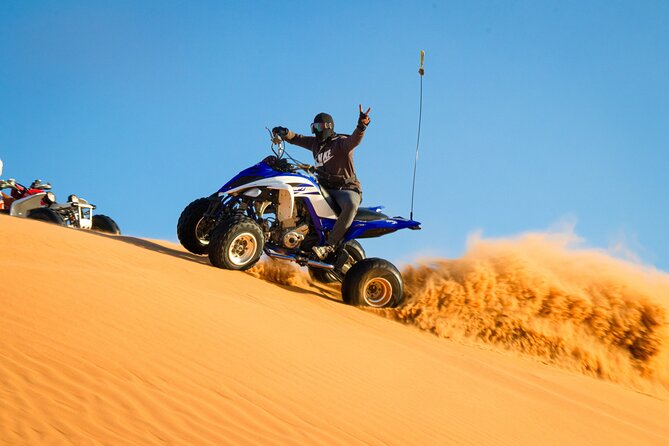 Doha: Quadbike, Dune Bashing, Camel Ride, Inland Sea Visit - Meeting camels beside the desert route