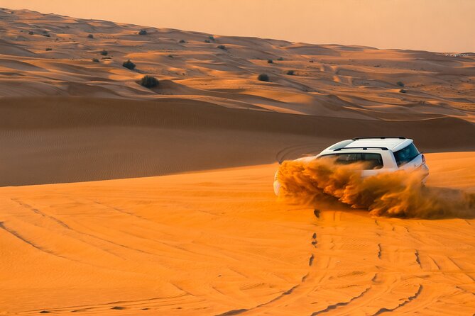 Doha: Quadbike, Dune Bashing, Camel Ride, Inland Sea Visit - What the $100 price really covers