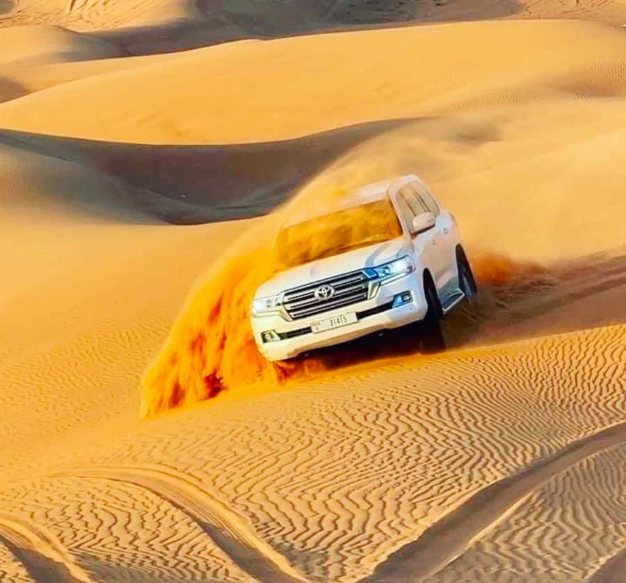 Doha: Relax Desert Safari, Camel Ride, Inland Sea, Swimming - What the guides add to the experience