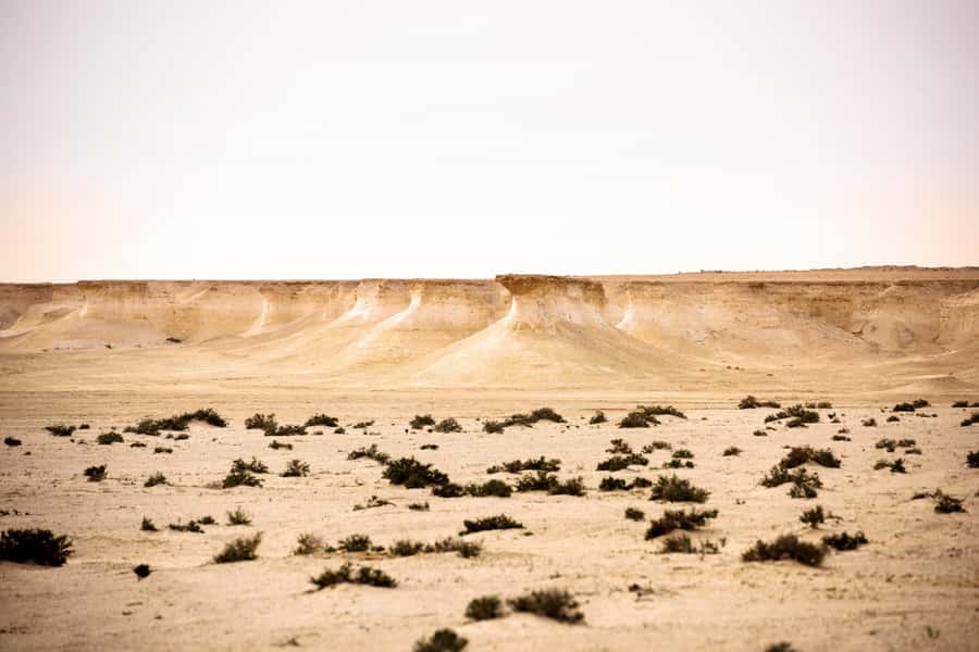 Doha: Richard Serra Sculpture,Mushroom Hill,Camel Race Track - Mushroom Rock and Zekreet Village