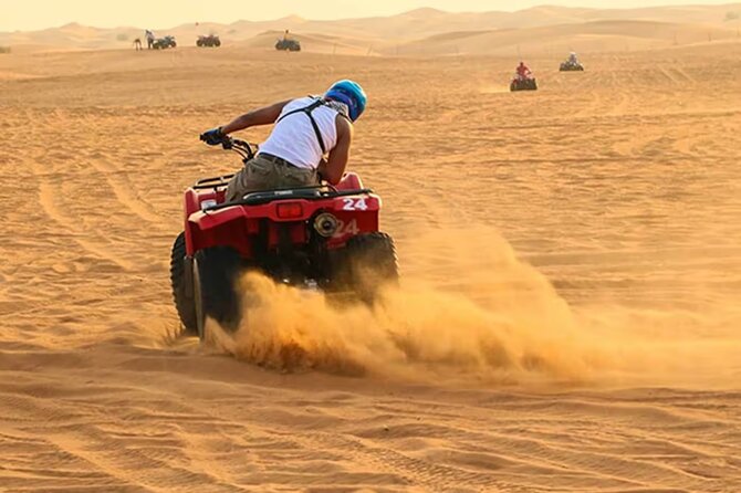 Doha Safari Adventures, Dune Bashing, Sand Buggy, Camel Ride Tour - What the guides add to the experience