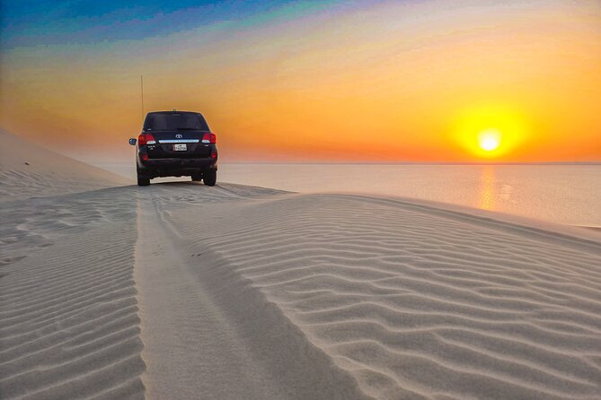 Doha Safari Adventures, Dune Bashing, Sand Buggy, Camel Ride Tour - Who should book this Doha safari?