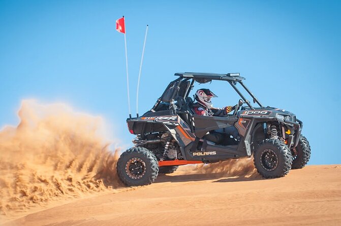 Doha Safari Adventures, Dune Bashing, Sand Buggy, Camel Ride Tour - Three hours among Qatar’s coastal dunes