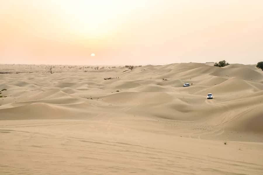 Doha: Safari, ATV, Camels, Sandboarding and Inland Sea Tour - What the $32 price really includes