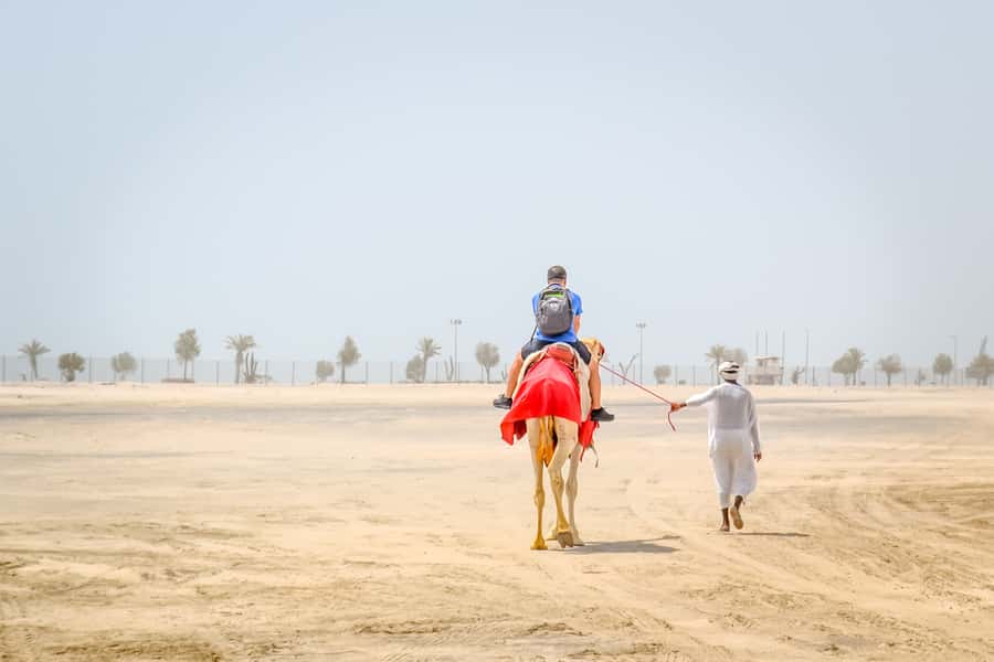 Doha: Safari, ATV, Camels, Sandboarding and Inland Sea Tour - Timing, comfort, and who should book