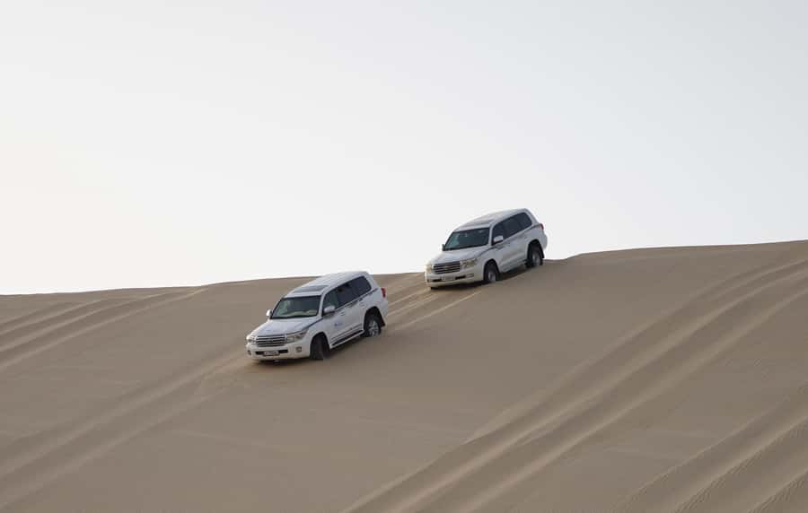 Doha: Safari, ATV, Camels, Sandboarding and Inland Sea Tour - The guide can shape the entire outing
