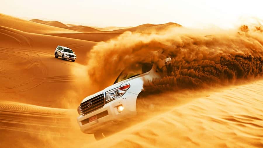 Doha: Safari, Camel Ride, Sandboarding and Inland Sea Tour - What the guides add to the experience
