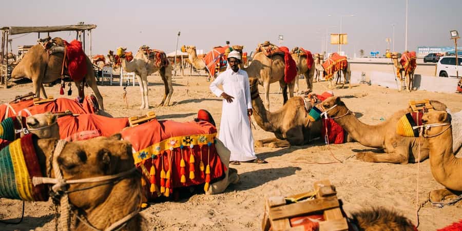 Doha: Safari, Camel Ride, Sandboarding and Inland Sea Tour - A short camel ride with a traditional feel