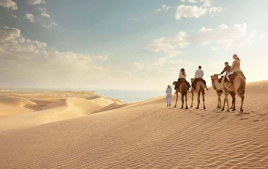Doha: Safari, Camel Ride, Sandboarding and Inland Sea Tour - Photo stops, tea, and the best light