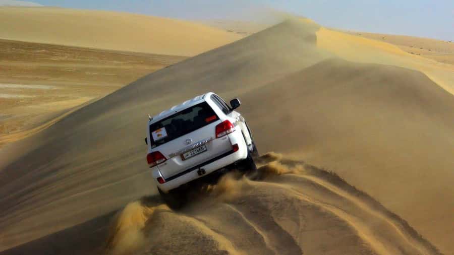 Doha: Safari, Camel Ride, Sandboarding and Inland Sea Tour - Who will enjoy this four-hour adventure