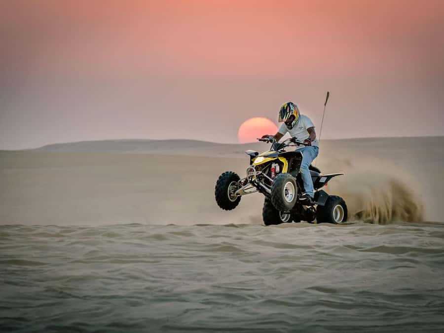 Doha: Safari, Camel Ride, Sandboarding and Inland Sea Tour - Who will enjoy this desert trip most?