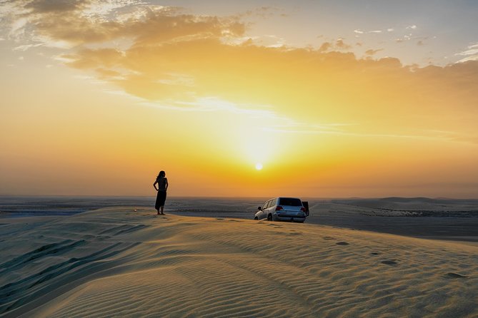 Doha: Safari, Dune bashing, Camel Ride, Sandboarding & Inland Sea - Camel riding: a short taste, not a trek