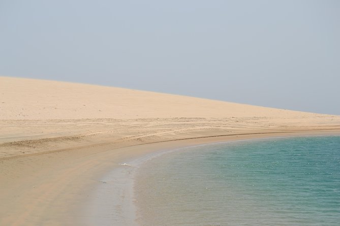 Doha: Safari, Dune bashing, Camel Ride, Sandboarding & Inland Sea - Dune bashing across Qatar’s tall dunes