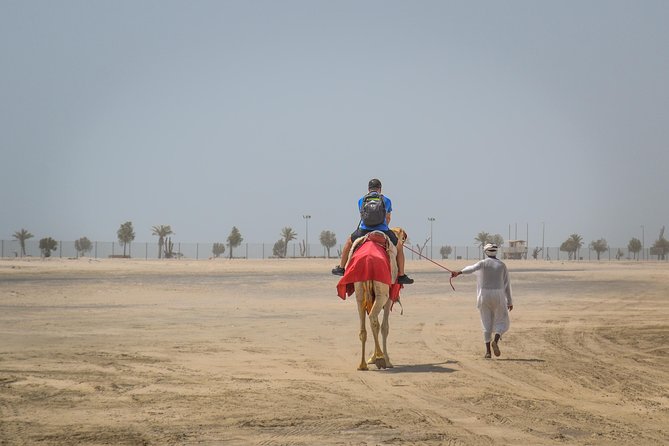 Doha: Safari, Dune bashing, Camel Ride, Sandboarding & Inland Sea - Sandboarding on the open slopes