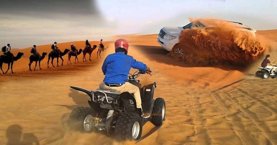 Doha Safari Quadbike, CamelRide, Sandboarding & Inland Sea - From Doha to the first stretch of open dunes