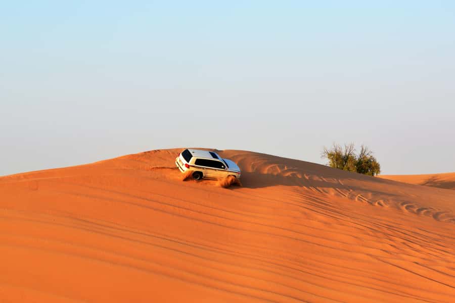 Doha:Safari Tour with Lunch/Dinner in Desert by the Sea Side - BBQ dinner at Sealine Beach Camp