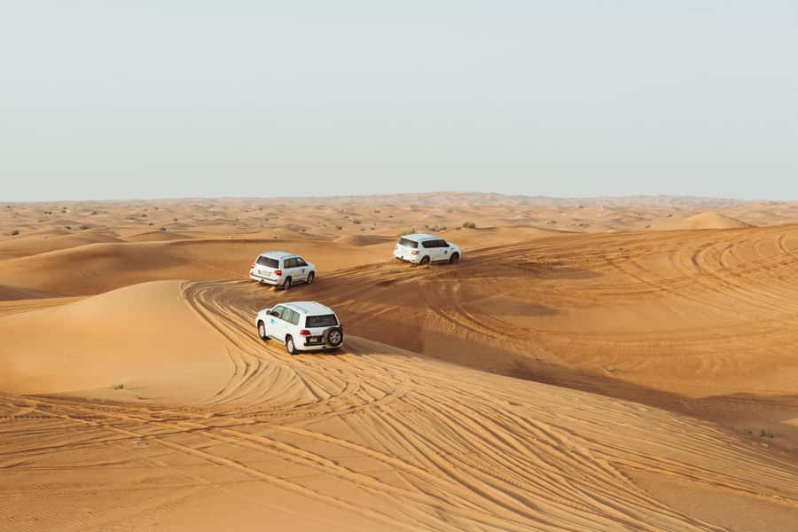 Doha:Safari Tour with Lunch/Dinner in Desert by the Sea Side - What $265 gets you