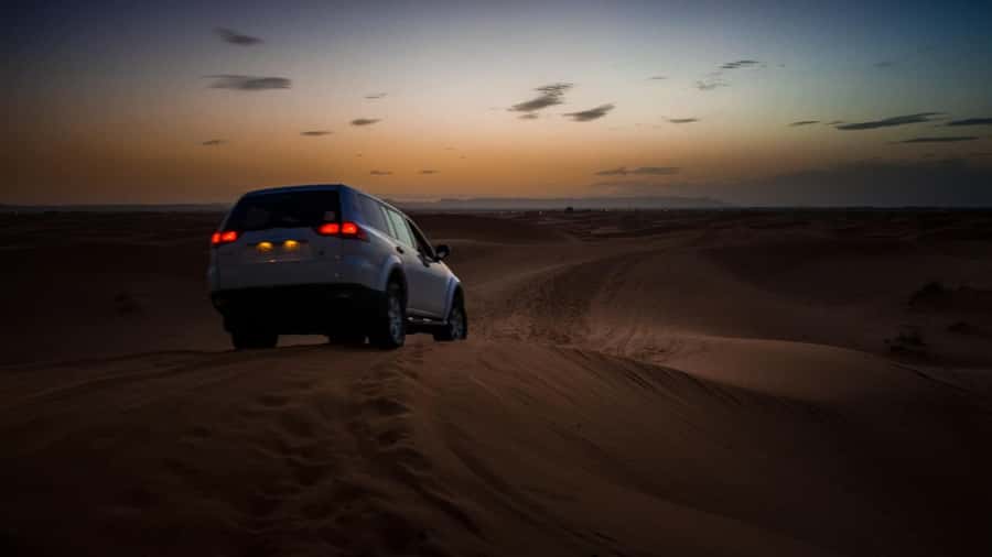 Doha:Safari Tour with Lunch/Dinner in Desert by the Sea Side - Timing, comfort, and who should book