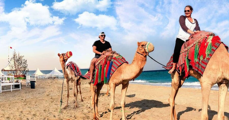 Doha Safari with Camel Ride, Inland Sea & Hotel Transfer - Khor Al Adaid, where dunes meet the Gulf