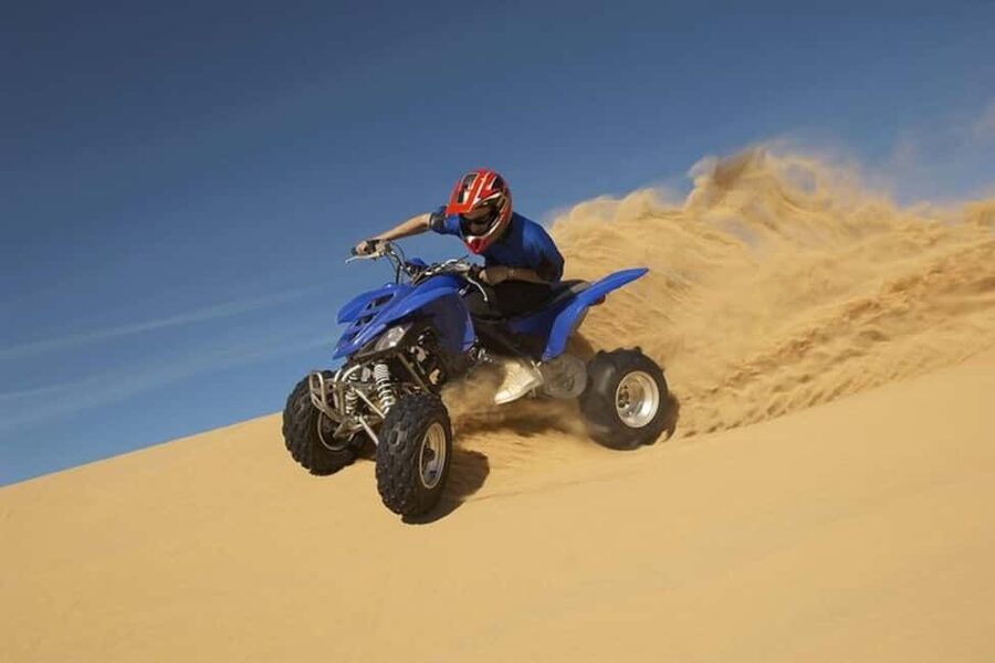Doha Safari with Camel Ride, Inland Sea & Hotel Transfer - Who will enjoy this four-hour safari