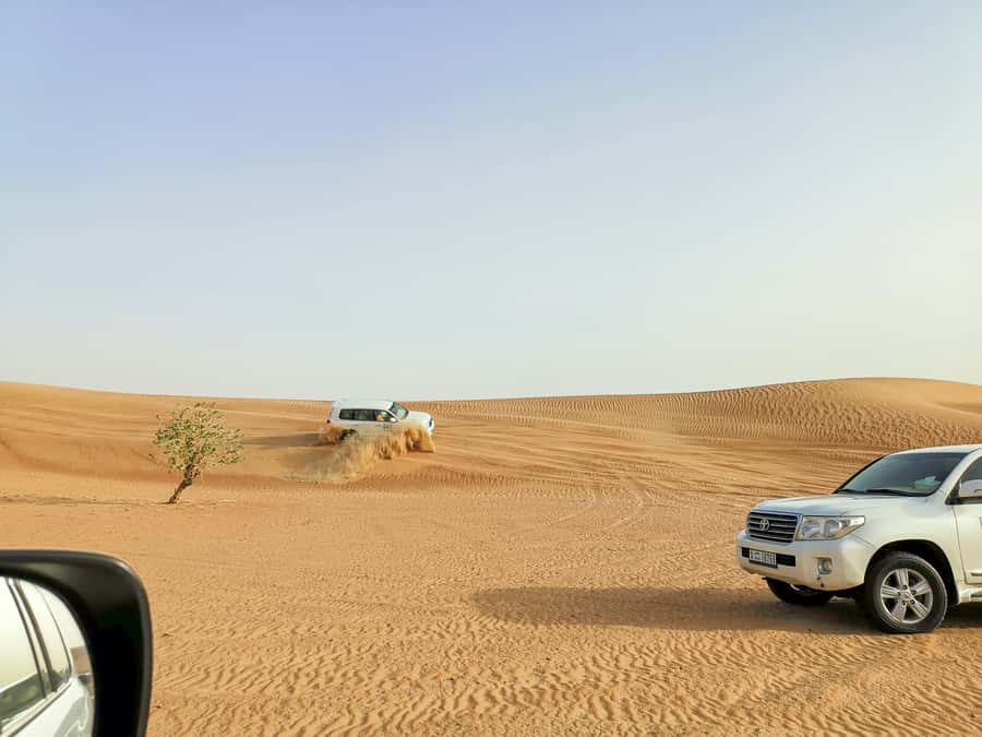 Doha: Shared Desert Safari, Sandboarding, Camel Ride - Sandboarding on the Dunes