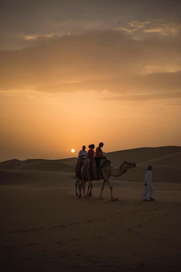 Doha: Shared Desert Safari, Sandboarding, Camel Ride - Heat, Timing, and What to Bring