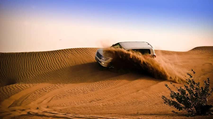 Doha: Shared Desert Safari, Sandboarding, Camel Ride - The 40-Minute Dune Bashing Run
