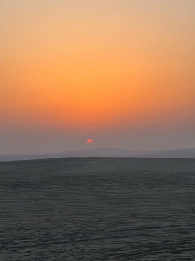 Doha: Stargazing Desert Safari w/ Dune Bashing & Camel Ride - Khor Al Udaid brings sand to the sea