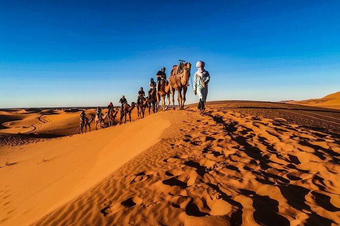 Doha Sunrise Desert Safari Tour| Dune Bashing| Inland Sea visit| Camel Riding - Sealine Beach and the first run across the dunes