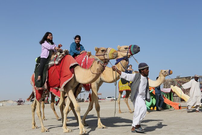 Doha; Sunrise Desert Tour and camel safari 4hrs - How adventurous is the dune driving?