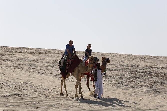 Doha; Sunrise Desert Tour and camel safari 4hrs - Who will get the best value from $75?