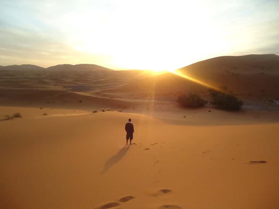 Doha:Sunrise or Sunset Desert Safari Tour with Sand Boarding - From Doha streets to open Qatari dunes