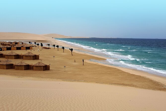 Doha: Sunrise /Sunset Desert Safari with Sand Boarding,Camel ride - Dune bashing across Qatar’s southern sands