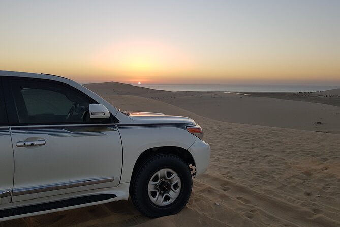 Doha: Sunrise /Sunset Desert Safari with Sand Boarding,Camel ride - Who will get the most from this $49 experience