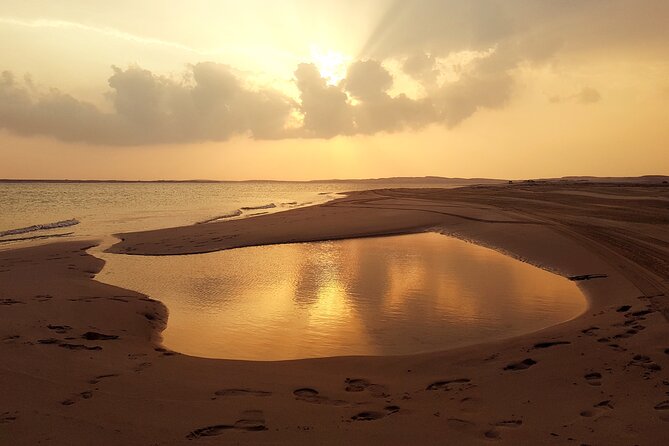 Doha: Sunrise /Sunset Desert Safari with Sand Boarding,Camel ride - Sealine Beach: tea, camels, and a change of pace