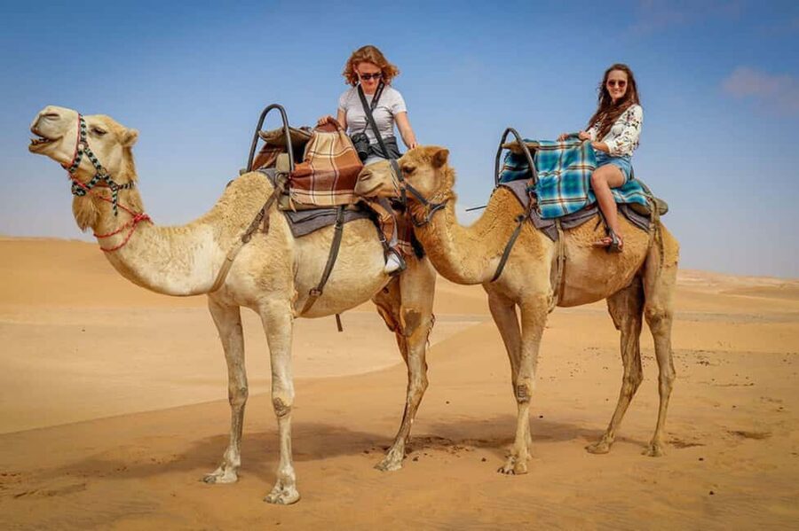 Doha: Sunset Desert Safari, ATV, Camel Ride and Sandboarding - Should You Book It?
