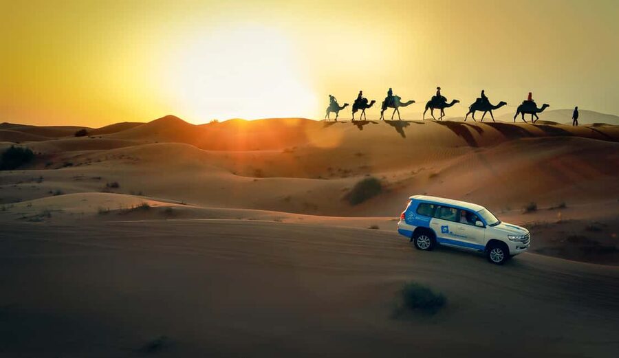 Doha: Sunset Desert Safari, ATV, Camel Ride and Sandboarding - Sandboarding: Fun Down, Work Back Up