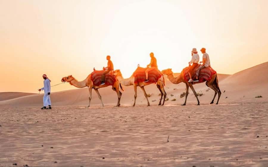 Doha: Sunset Desert Safari with Camel Ride & Sandboarding - From Doha to the dunes in about 45 minutes