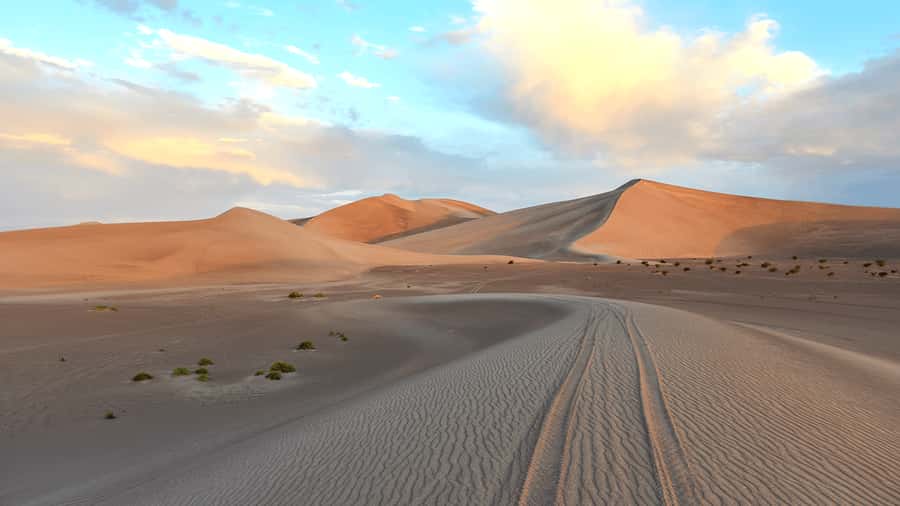 Doha: Sunset Safari, Dune Bashing, Sandboarding & Camel Ride - The Inland Sea is the quiet counterpoint